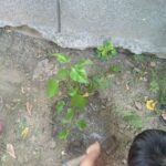 2014-08-15-drive15_16695094722_o