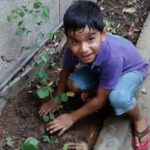 2014-08-24-drive4_16670177056_o