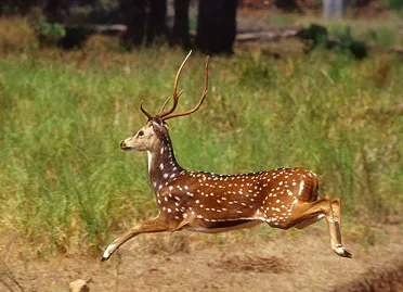 image_2021-11-19_08-57-29