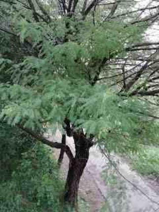 image_2021-11-19_10-58-41