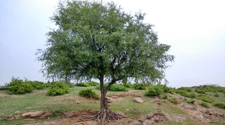 image_2021-11-19_10-58-50