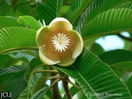 image_2021-11-19_11-09-55